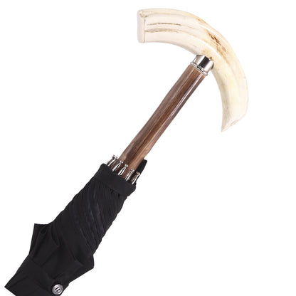 Art. 1100. 5 - Warthog tooth